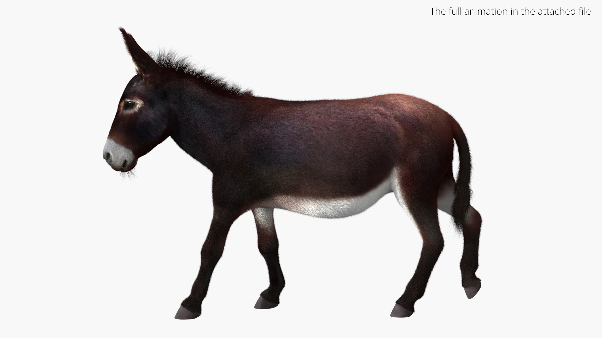 3D Farm Mule Walking Animated Fur Rigged For Blender model https://p.turbosquid.com/ts-thumb/qH/As1J9u/vP/farm_mule_walking_animated_fur_rigged_for_blender_361/jpg/1780010151/1920x1080/turn_fit_q99/fd36dae6db2b959141b4b81900783240f35c7322/farm_mule_walking_animated_fur_rigged_for_blender_361-1.jpg