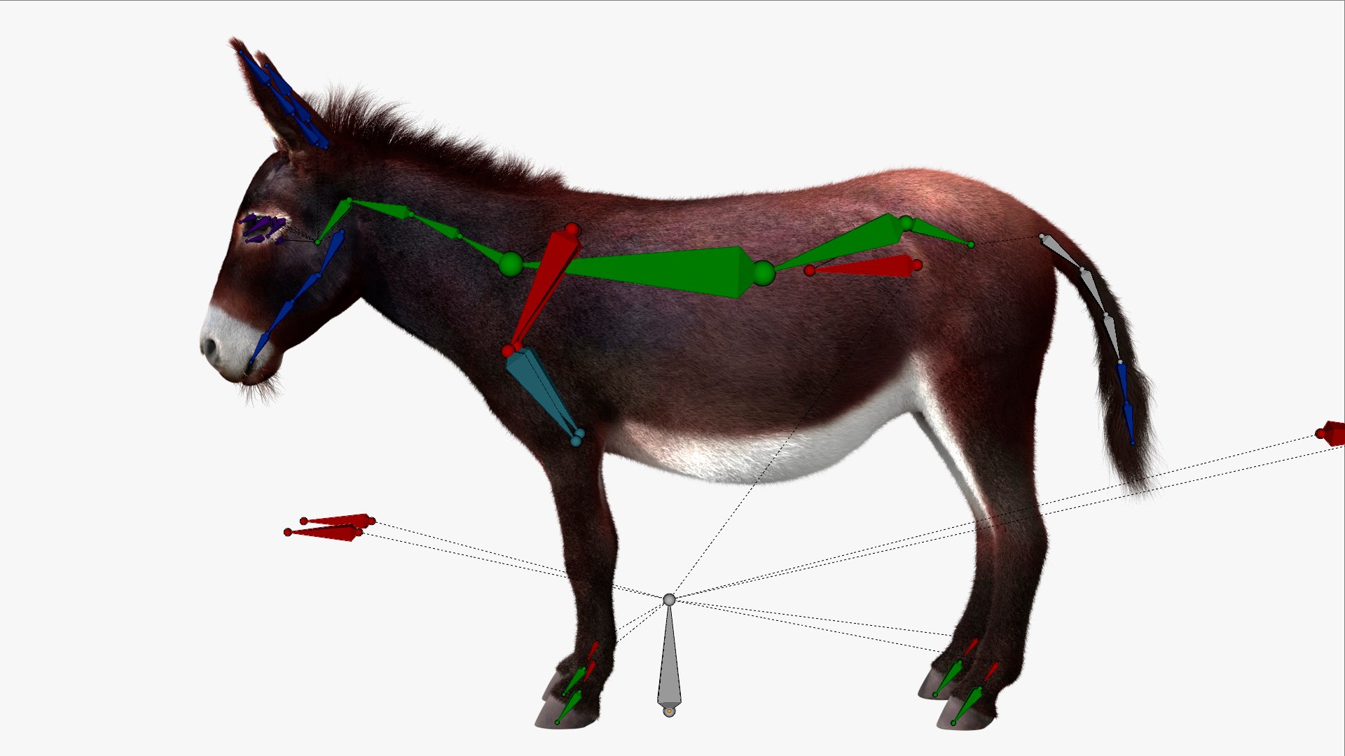 3D Farm Mule Walking Animated Fur Rigged For Blender model https://p.turbosquid.com/ts-thumb/qH/As1J9u/w5/farm_mule_walking_animated_fur_rigged_for_blender_005/jpg/1780010223/1920x1080/fit_q87/cf2e76316e015a2f6f4e333061db33688621980d/farm_mule_walking_animated_fur_rigged_for_blender_005.jpg