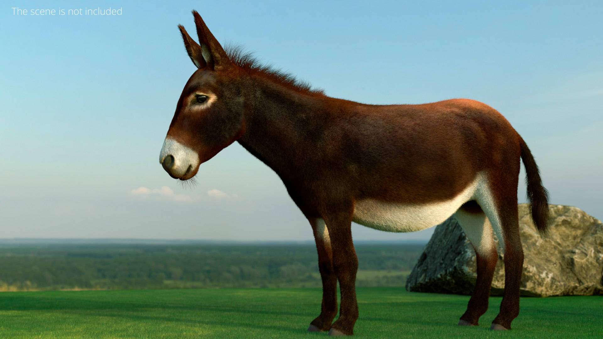 3D Farm Mule Walking Animated Fur Rigged For Blender model https://p.turbosquid.com/ts-thumb/qH/As1J9u/wQ/farm_mule_walking_animated_fur_rigged_for_blender_004/jpg/1780010220/1920x1080/fit_q87/80005fc93256e62901d8bffaeb9ed30054c6eef3/farm_mule_walking_animated_fur_rigged_for_blender_004.jpg