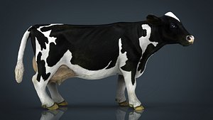 3D model cow milk
