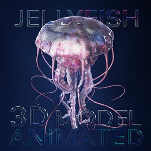 3D Jellyfish 3D Model