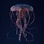 Jellyfish 3D Model