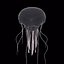 Jellyfish 3D Model