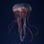 Jellyfish 3D Model