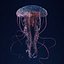 Jellyfish 3D Model