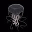 Jellyfish 3D Model