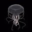 Jellyfish 3D Model