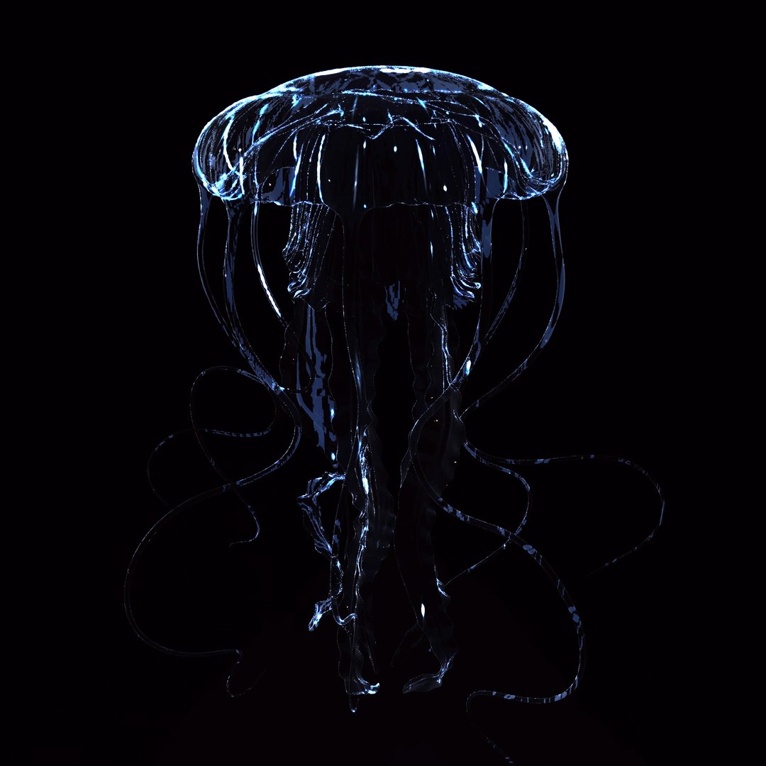 3D Jellyfish 3D Model https://p.turbosquid.com/ts-thumb/qH/cIxMYd/p4/layer18/png/1636431811/1920x1080/fit_q87/53d9573210341d8557c98ca4e9a52d2e6cf14fa1/layer18.jpg