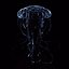 Jellyfish 3D Model