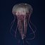Jellyfish 3D Model