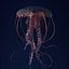 Jellyfish 3D Model