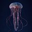Jellyfish 3D Model