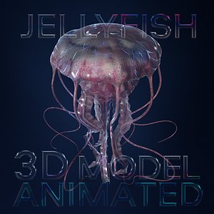 3D Jellyfish 3D Model
