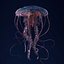 Jellyfish 3D Model