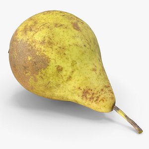 Pear Fruit 3D