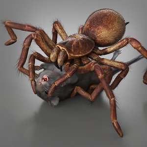 Goliath Birdeater Fur Set Animated Rigged For Maya