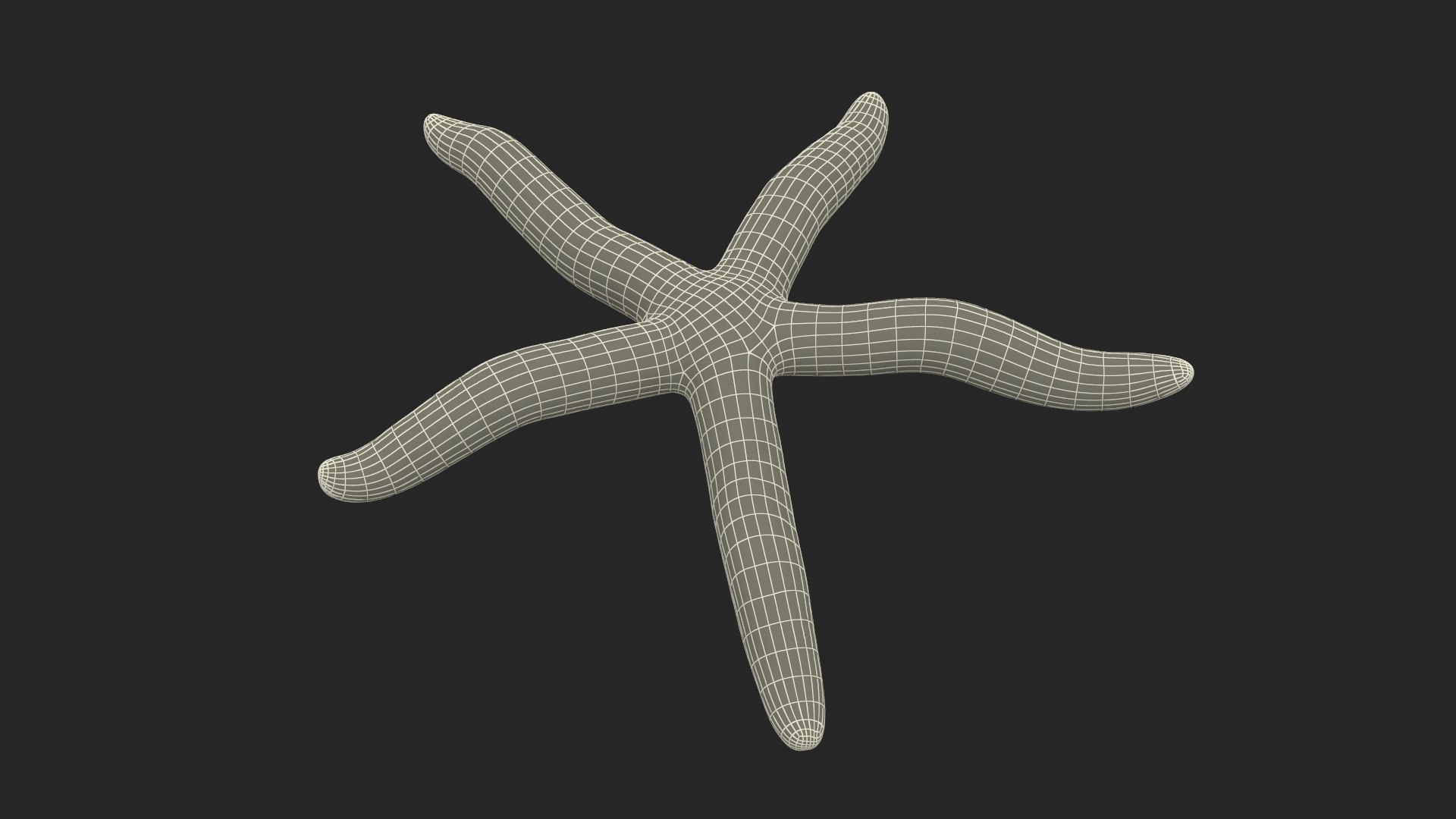 3D Model Blue Seastar Rigged - TurboSquid 2223319