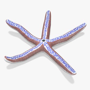 3D model Blue Seastar Rigged