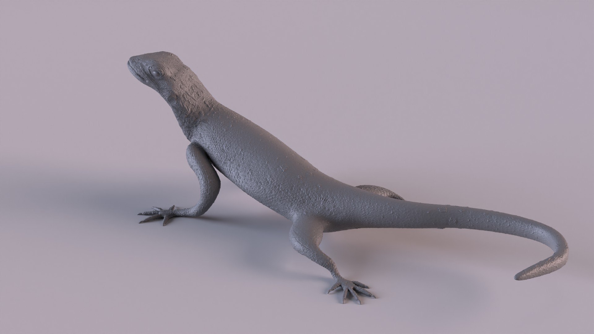 Rock Agama printable 3D model https://p.turbosquid.com/ts-thumb/qI/LhY41p/3X/ragama_0009/jpg/1653762455/1920x1080/fit_q87/1a8d7120e3266d657b256c1561465db45b4c2299/ragama_0009.jpg