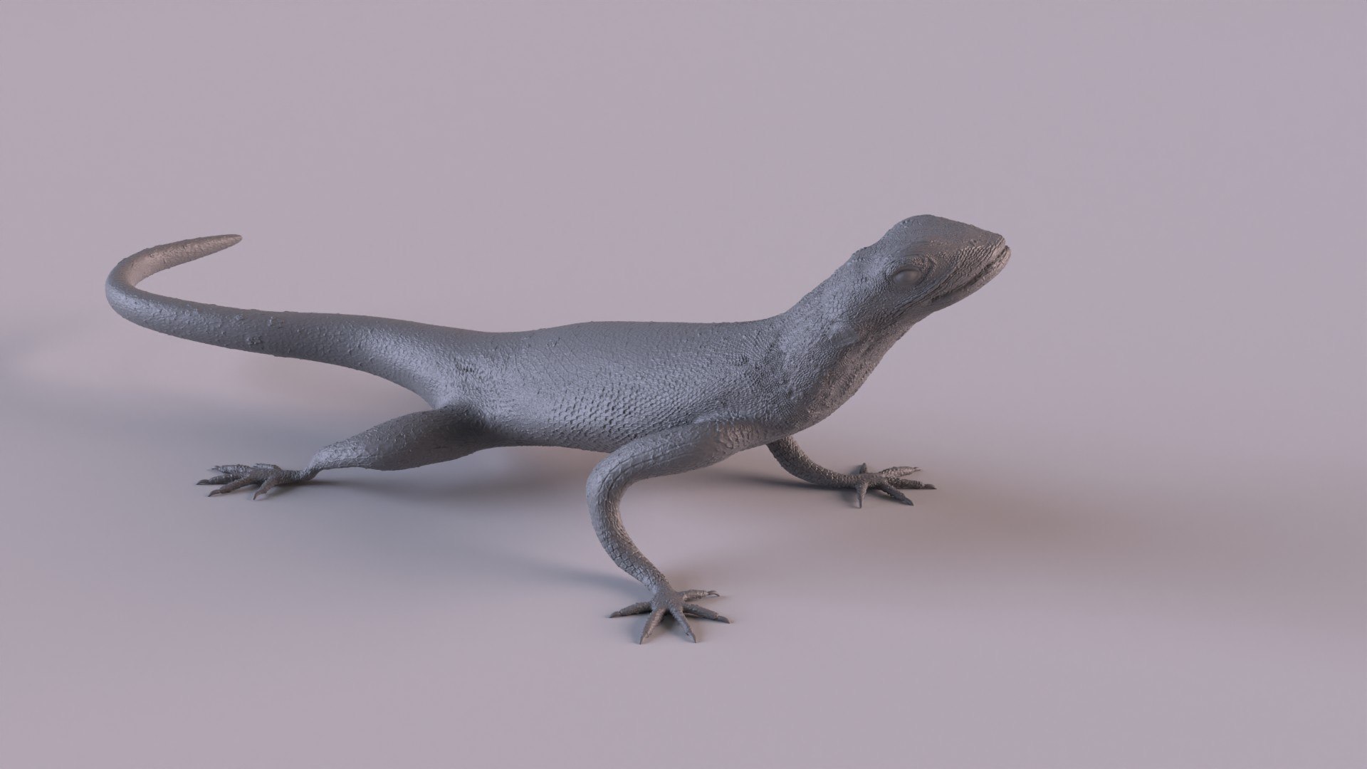 Rock Agama printable 3D model https://p.turbosquid.com/ts-thumb/qI/LhY41p/w7/ragama_0005/jpg/1653762454/1920x1080/fit_q87/c39bcdf60c806c6077d47387c06d89de32f0283f/ragama_0005.jpg