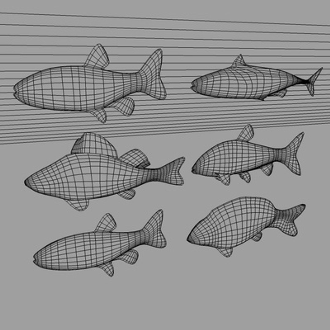 fishes 3d model