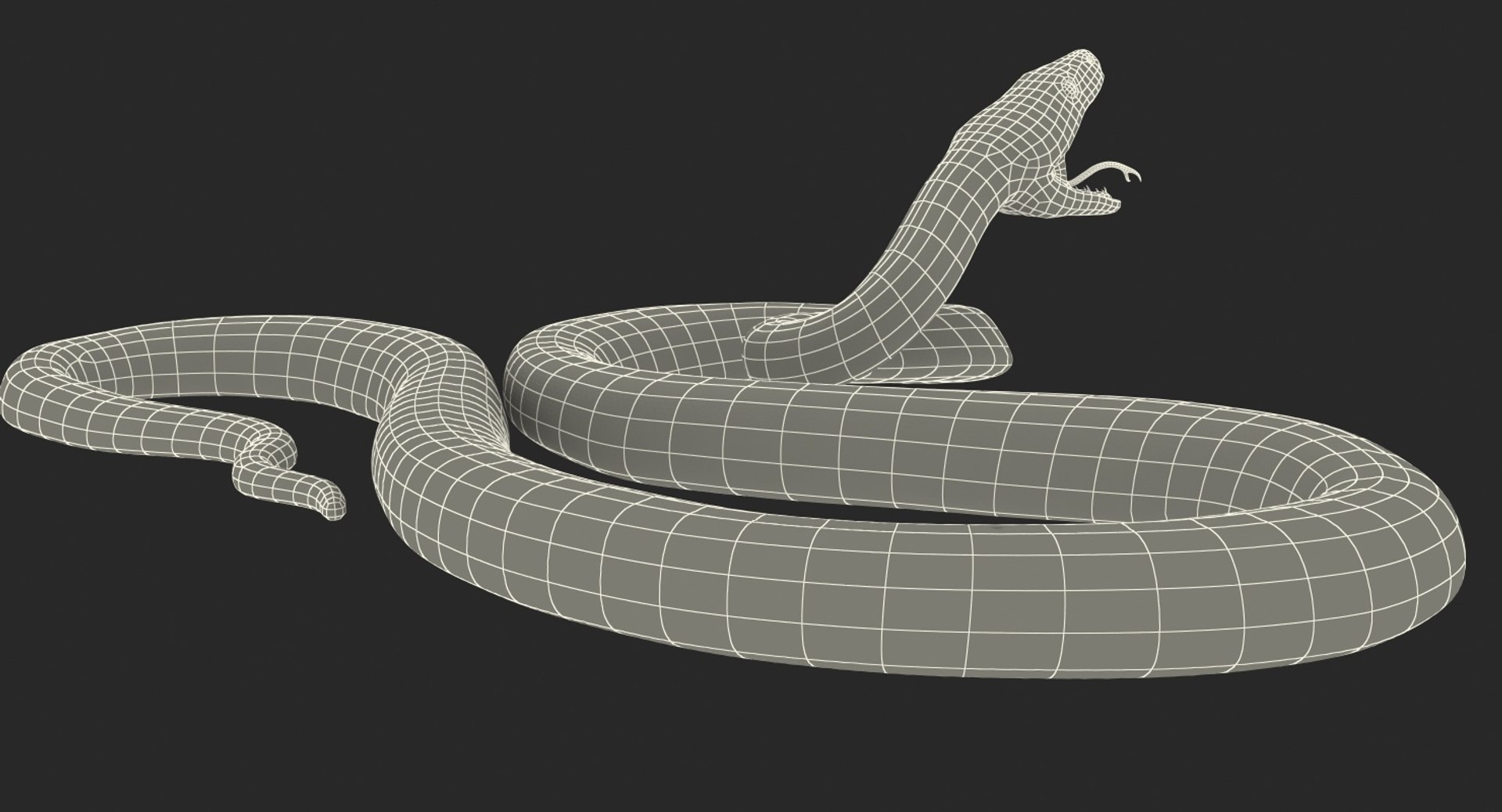 Python snake dark brown colour snake 3D model - TurboSquid 1958339