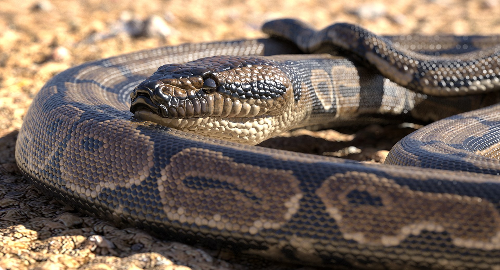 Python snake dark brown colour snake 3D model - TurboSquid 1958339