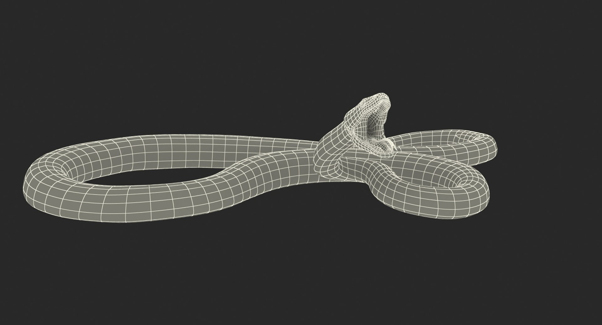 3D Brown Python Snake Rigged Model - TurboSquid 1417834