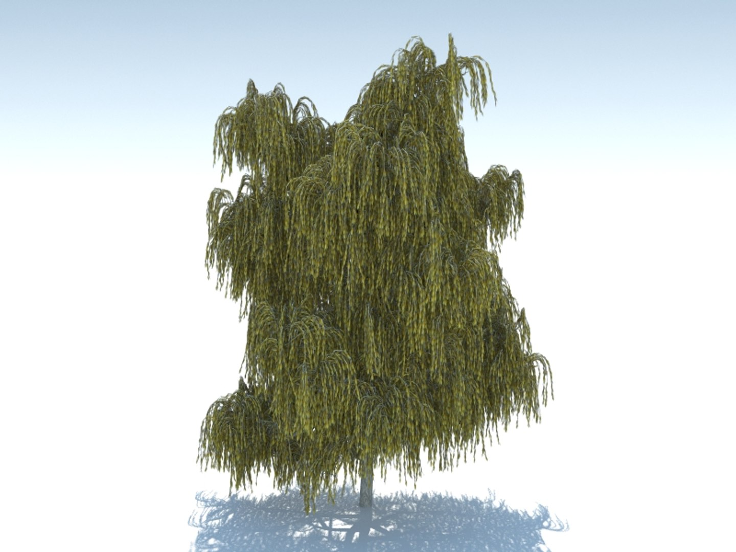 realistic willow tree max https://p.turbosquid.com/ts-thumb/qI/ncbcrt/FTUOtLLp/4r/jpg/1426073138/1920x1080/fit_q87/74a0ed71b30a76782ce7cf9764a0462cb6987840/4r.jpg