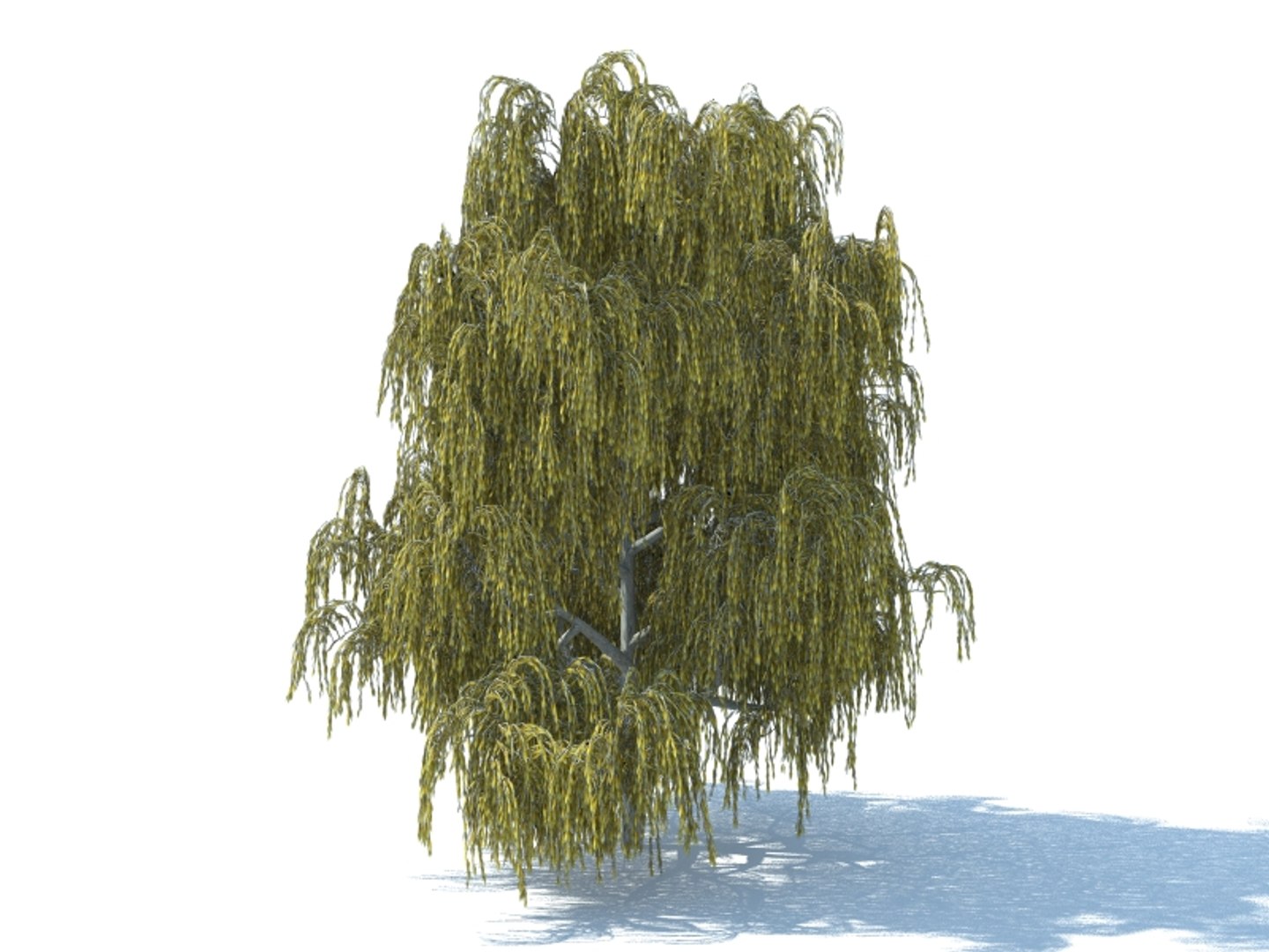 realistic willow tree max https://p.turbosquid.com/ts-thumb/qI/ncbcrt/Fw2ip3hS/3r/jpg/1426073138/1920x1080/fit_q87/470feb6846795a2cdfa6ec7f92f5a56e3f9f6216/3r.jpg