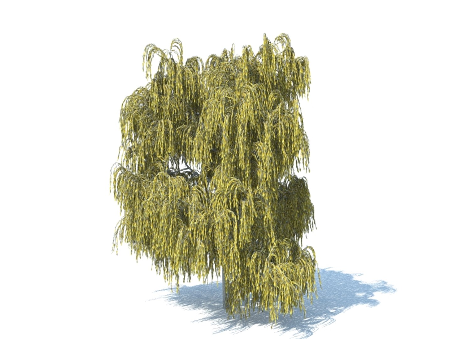 realistic willow tree max https://p.turbosquid.com/ts-thumb/qI/ncbcrt/Y9PgwE8B/2r/jpg/1426073138/1920x1080/fit_q87/382f15de5928d1db3abf4a5bc6b66598d3a51a3c/2r.jpg