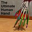 human hand forearm 3d model