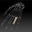 human hand forearm 3d model