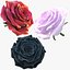 Realistic Rose 3D Model - High-Quality 4K PBR Asset