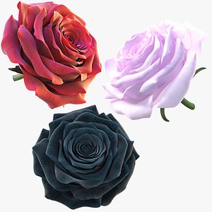 Realistic Rose 3D Model - High-Quality 4K PBR Asset