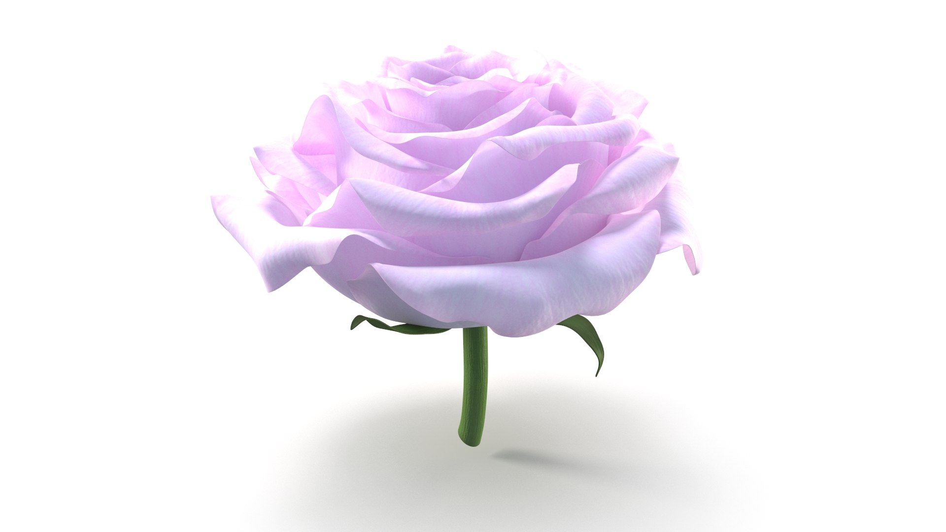 Realistic Rose 3D Model - High-Quality 4K PBR Asset 3D model https://p.turbosquid.com/ts-thumb/qJ/8LDuGU/D4/rrr_3/jpg/1742480296/1920x1080/fit_q87/e5bae9a56f88e1bed28d16a693532f20069d0d31/rrr_3.jpg
