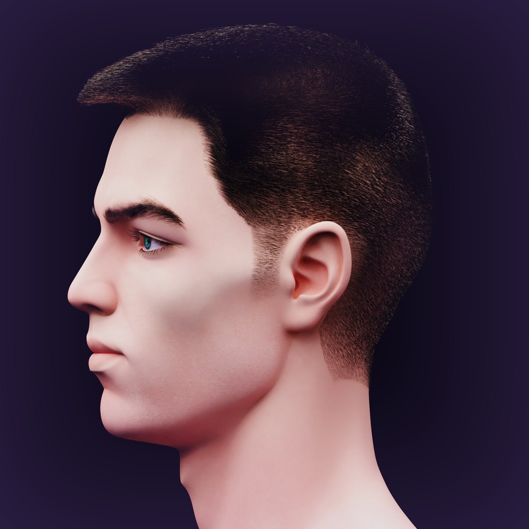 Nikolas Realistic Head Model - TurboSquid 2231331