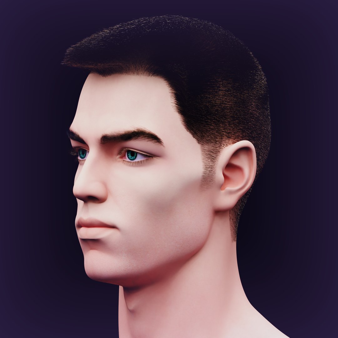 Nikolas Realistic Head Model - TurboSquid 2231331