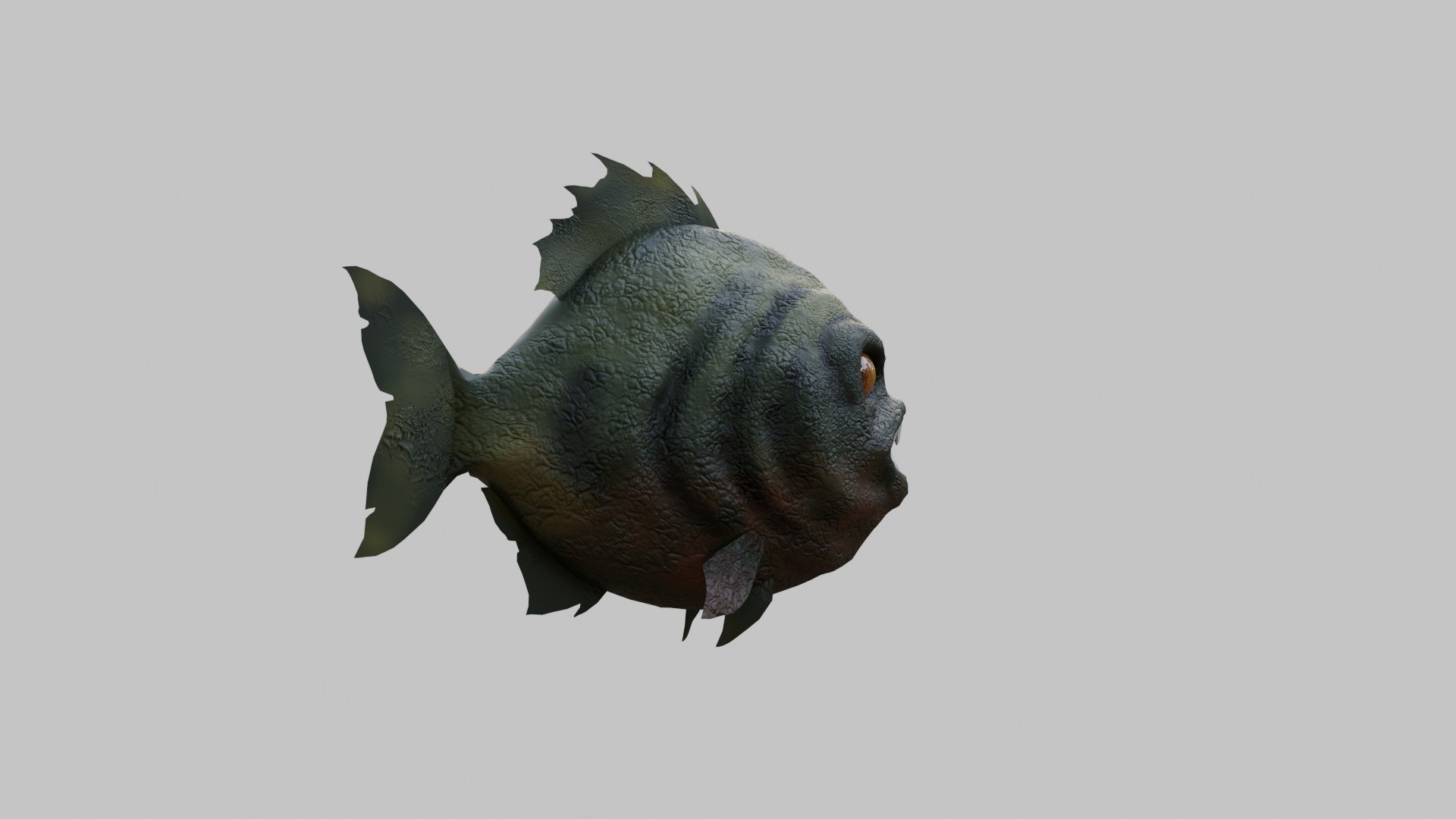 piranha 3D model https://p.turbosquid.com/ts-thumb/qJ/O91EW5/Gm/0003/jpg/1776182876/1920x1080/fit_q87/43deadae379d77159eed52458a539c66a5f95ccf/0003.jpg
