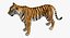 3D tiger rigged model