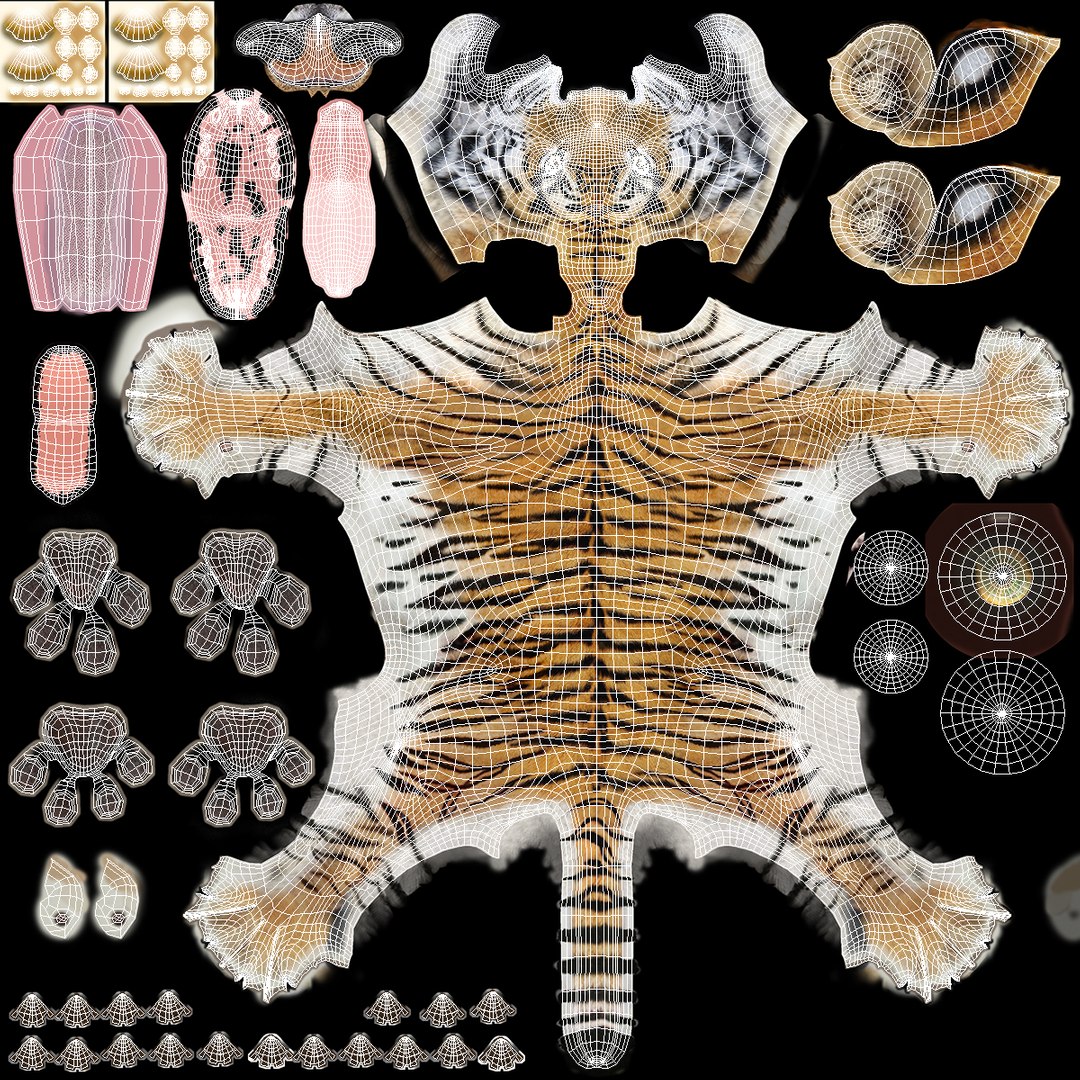 3D Tiger Rigged Model - TurboSquid 1318491