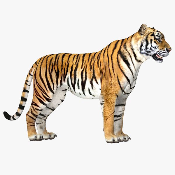 Tigre de bengala Modelo 3D - TurboSquid 1616218