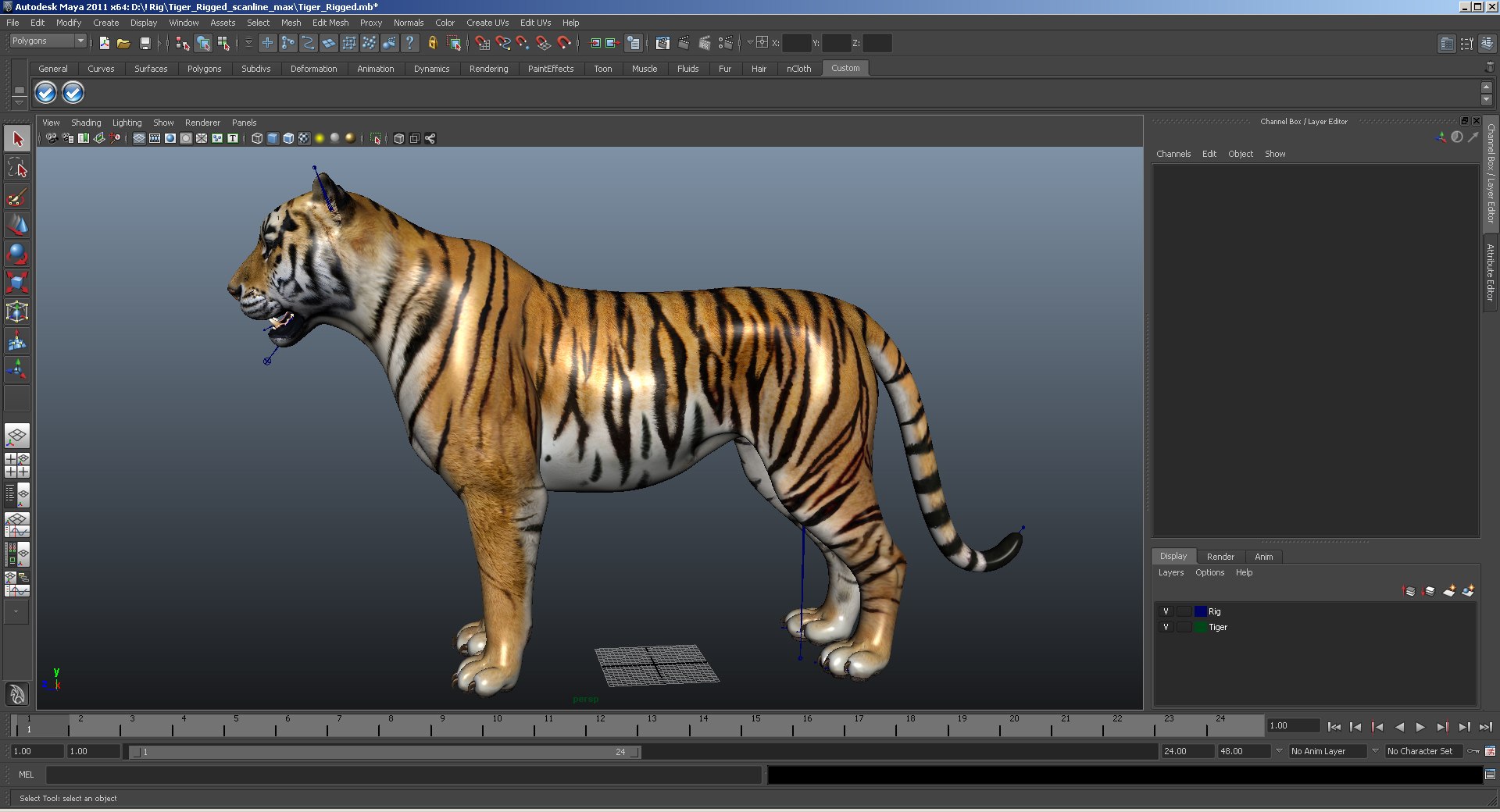 3D Tiger Rigged Model - TurboSquid 1318491