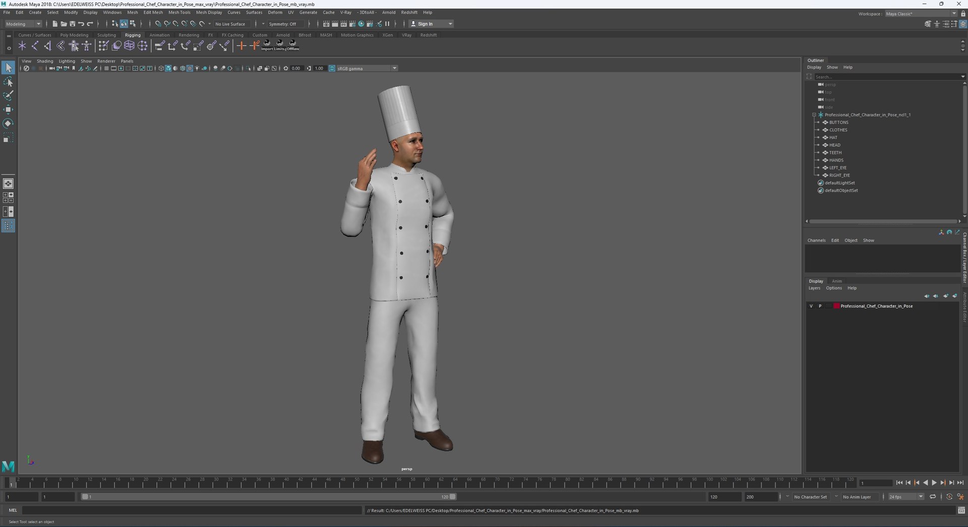Professional Chef Character In Pose 3D Model - TurboSquid 2328715