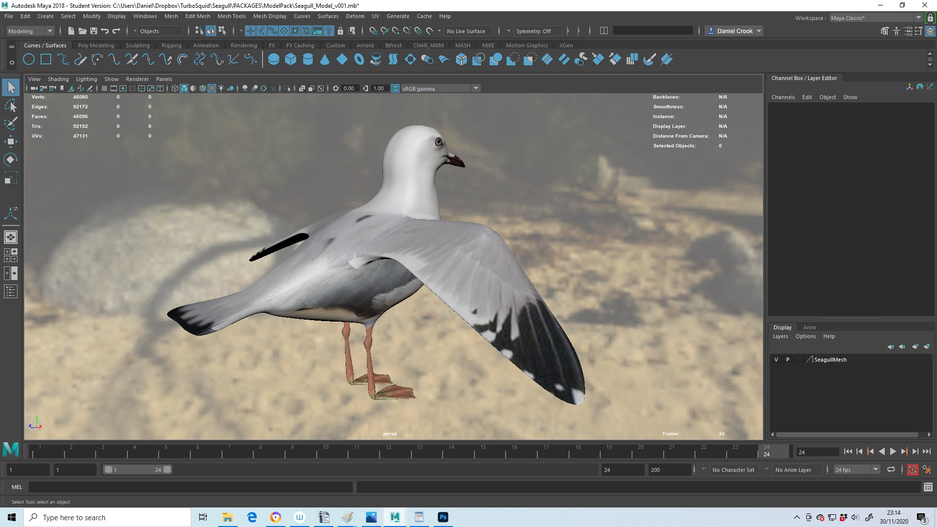 3D Seagull Rigged Modelled - TurboSquid 1657857