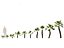 Chamaerops humilis - Mittelmeer-Fächerpalme 02
