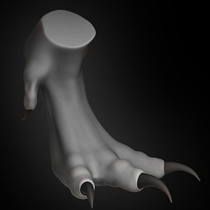 dragon claw concept 2019 3D model