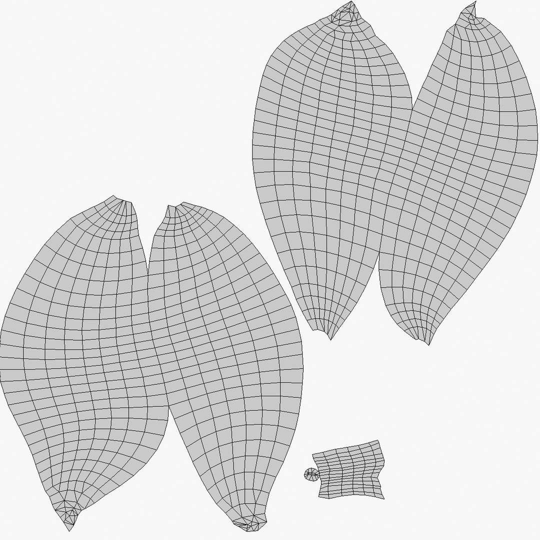 3D Pear 01 a https://p.turbosquid.com/ts-thumb/qJ/z18W2R/Hg/pear_01_uv_pear_01/jpg/1721541959/1920x1080/fit_q87/f1b31720539799459ebc576c9ae980fb8ade71fd/pear_01_uv_pear_01.jpg