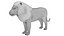 Low polygon lion and lioness collection