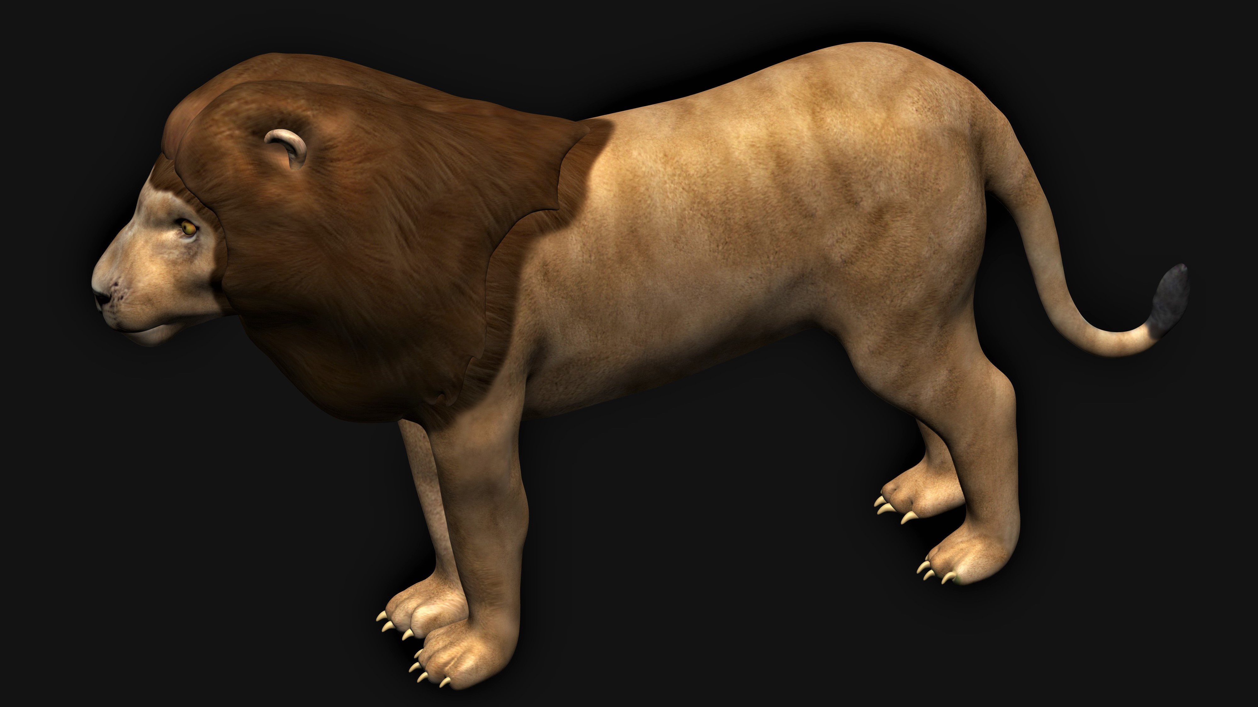 Lion lioness 3D - TurboSquid 1694850